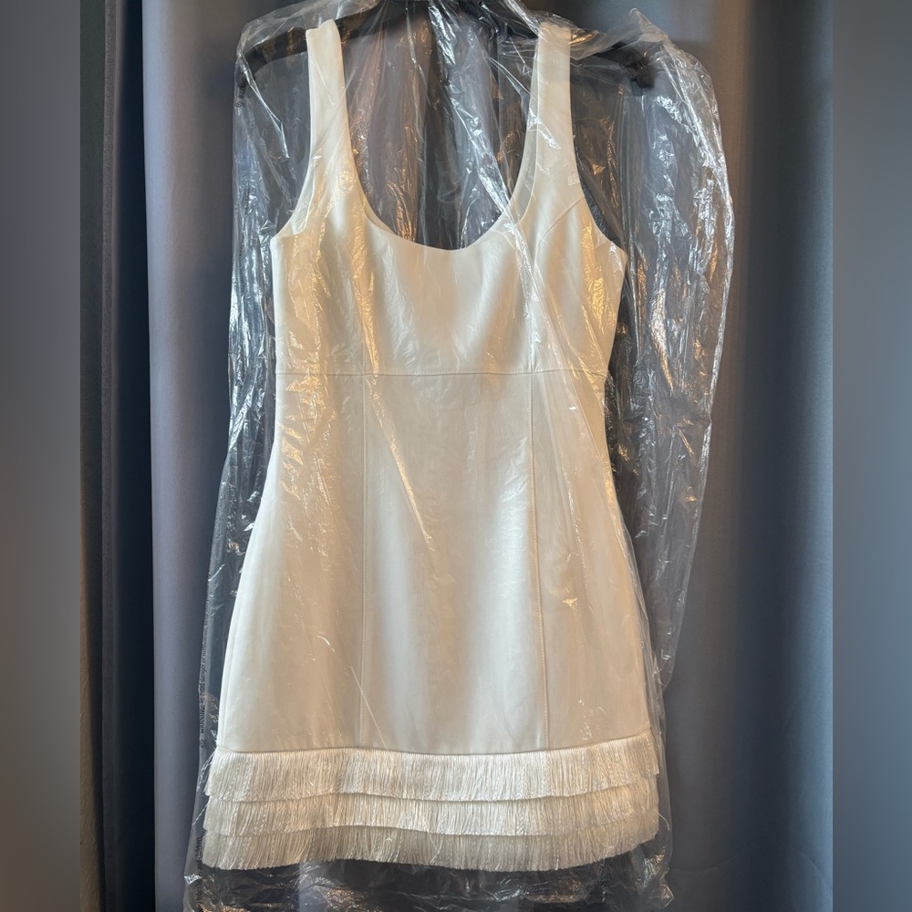 Cinq a Sept Hattie fringe dress